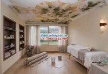 Dịch Vụ Sửa Trần Thạch Cao Hà Nội, Trọn Gói, Uy Tín